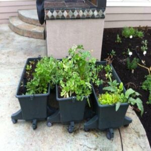 Four Season Garden Explained Image